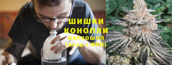 дживик Вязьма