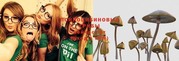 дживик Вязьма