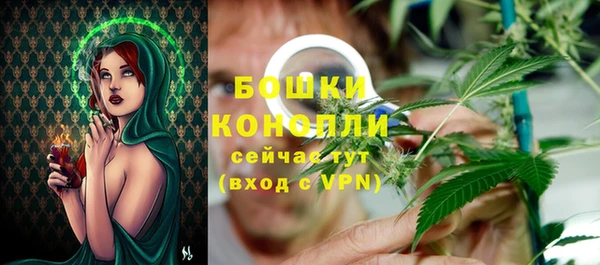 дживик Вязьма