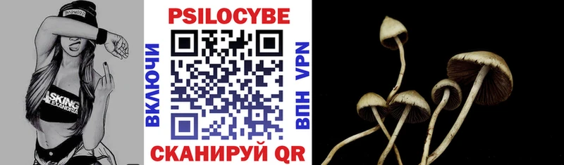 Галлюциногенные грибы Cubensis  как найти закладки  Комсомольск-на-Амуре 